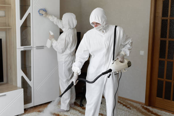24/7 Emergency Odor Removal experts in Weston, MO